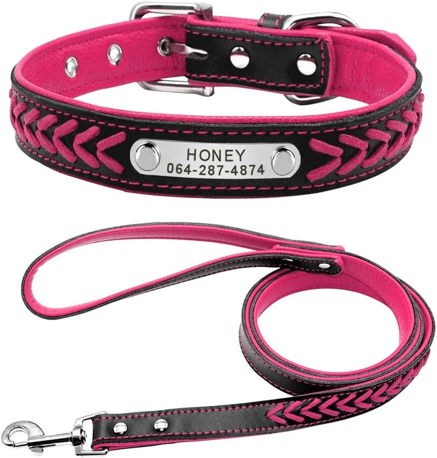 Fun (And Useful) Gifts For Dog Lovers 4