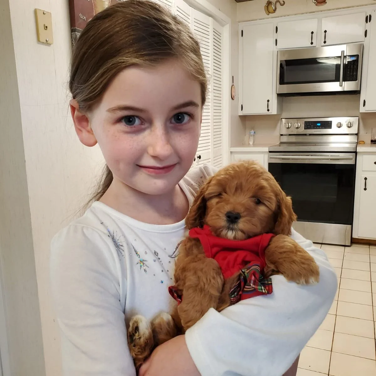 How To Adopt A Puppy From Hidden Acres Puppies 2 puppies and kids
