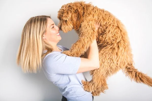 Teaching Goldendoodle Tricks